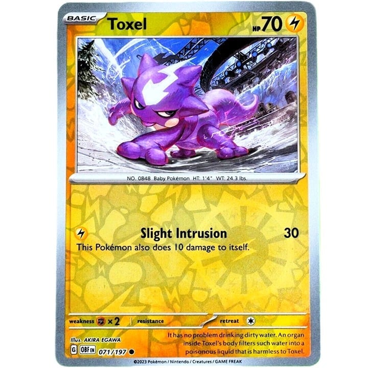 Toxel - Reverse Holo - Pokemon TCG Scarlet & Violet Obsidian Flames #071/197